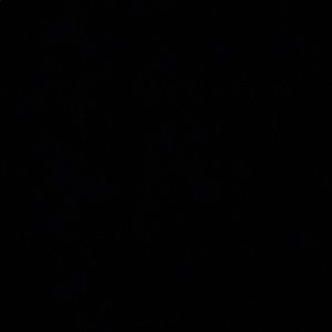 Meet your Posher, Kenny